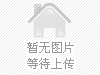 ������ԪXC0506-B1/B2-19-1�ؿ�